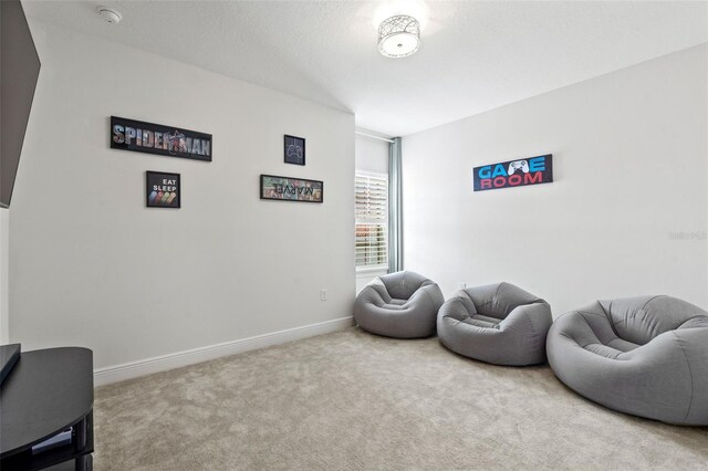 sitting room with carpet flooring