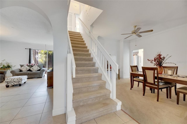 stairs featuring crown molding, carpet flooring, and ceiling fan