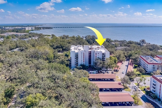 2699 Seville Blvd Unit 303, Clearwater, FL 33764 - photo 1