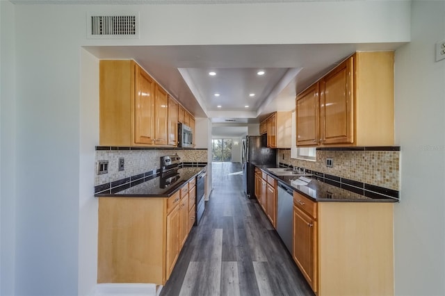 kitchen with sink, a tray ceiling, dark hardwood / wood-style flooring, stainless steel appliances, and decorative backsplash