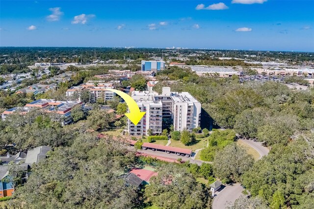 2699 Seville Blvd Unit 303, Clearwater, FL 33764 - photo 50