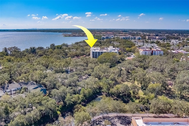 2699 Seville Blvd Unit 303, Clearwater, FL 33764 - photo 51