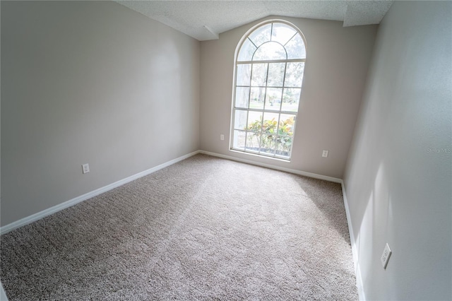 empty room with carpet flooring, a textured ceiling, and lofted ceiling