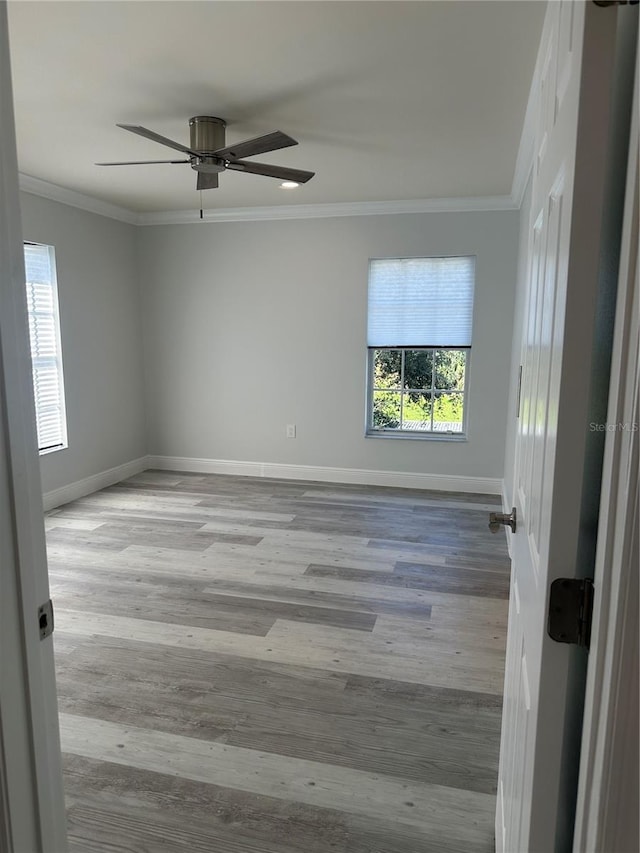 unfurnished room with light hardwood / wood-style floors, crown molding, and ceiling fan