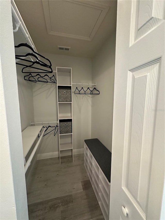 spacious closet with hardwood / wood-style flooring