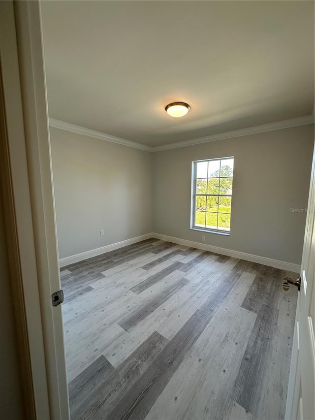 spare room with ornamental molding and light wood-type flooring