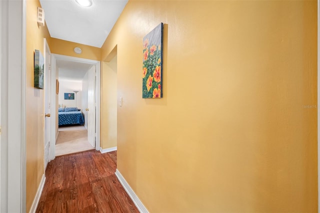 hall featuring wood-type flooring