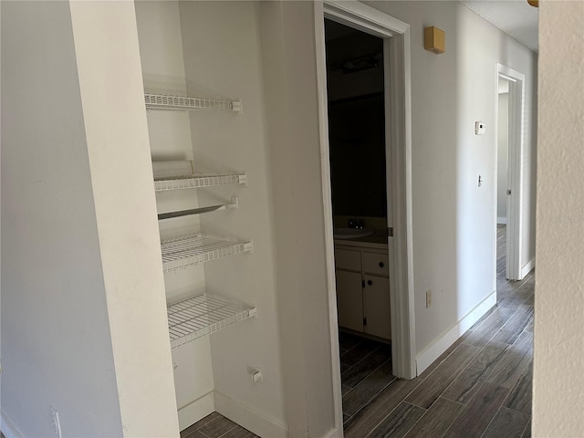 closet with sink