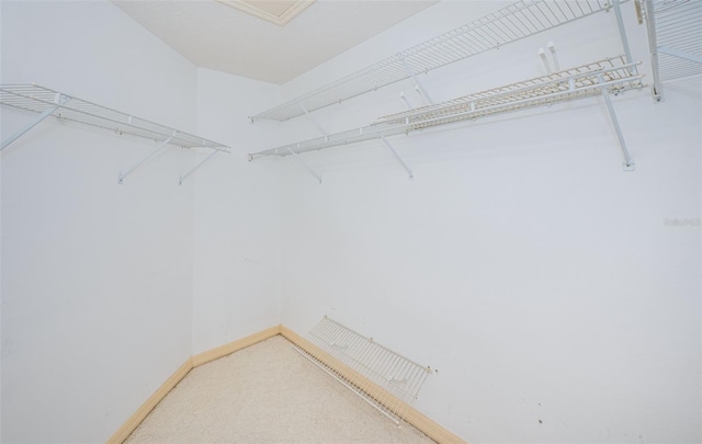 spacious closet with carpet