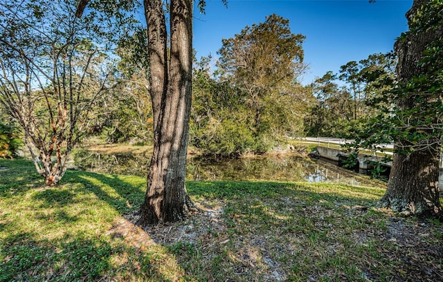 view of yard with a water view