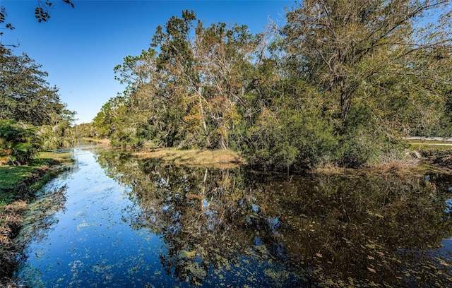view of water feature with a forest view