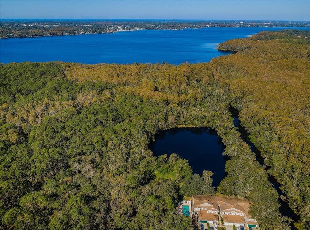 aerial view with a water view and a view of trees