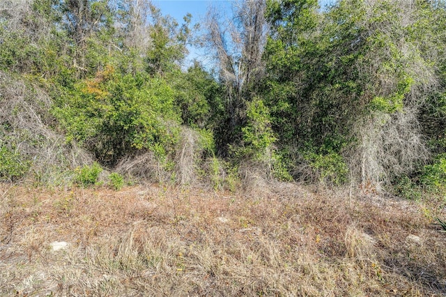 PID23891-002-00 OFF SW 46th Ave, Ocala, FL 34474