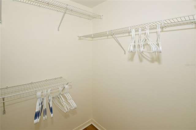 view of spacious closet