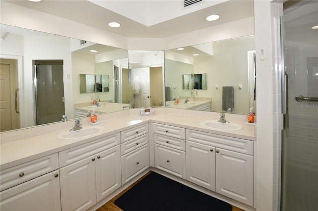 bathroom with vanity and walk in shower