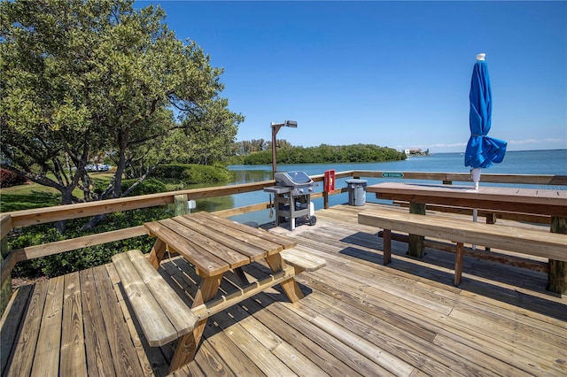 dock area with a water view