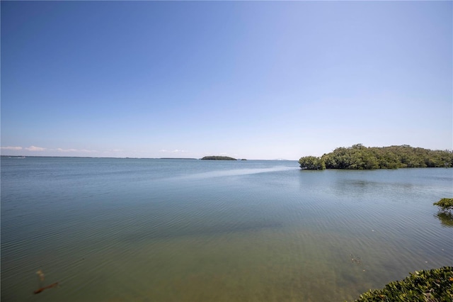 1515 Pinellas Bayway S Unit B28, Tierra Verde, FL 33715 - water view