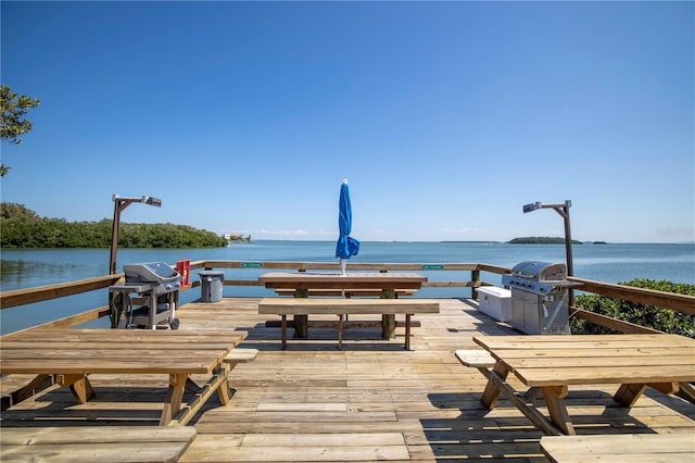 dock area with a water view