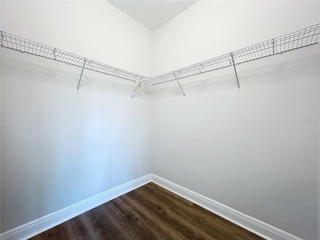 walk in closet with wood-type flooring