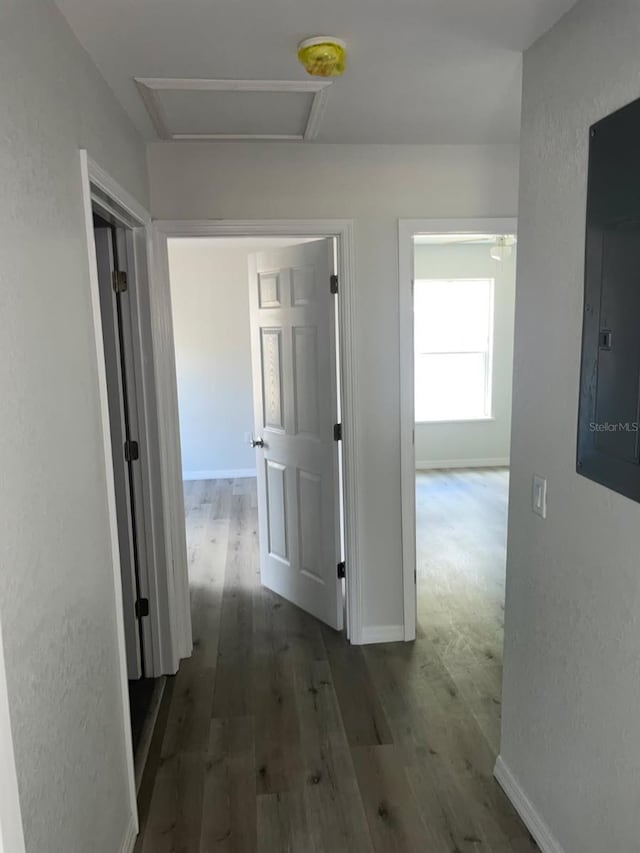 1740 Magnolia Ave, Bartow, FL 33830 - hall with electric panel and dark hardwood / wood-style flooring