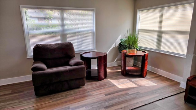 sitting room featuring wood-type flooring