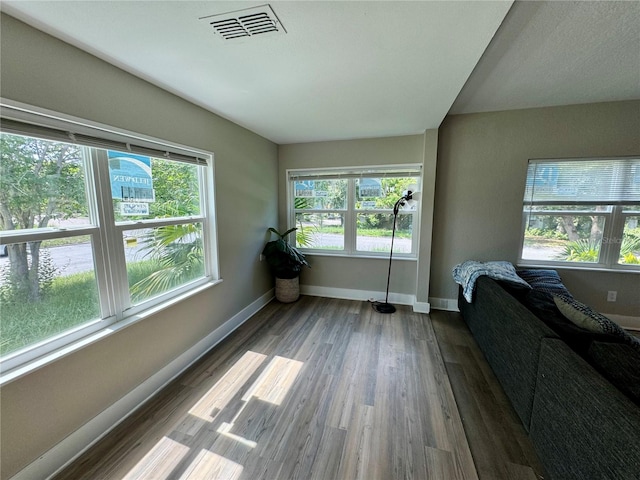 living room with wood-type flooring and plenty of natural light