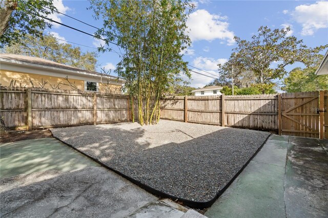 view of yard featuring a patio