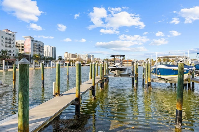 dock area featuring a water view