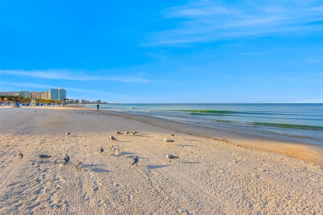 property view of water featuring a beach view