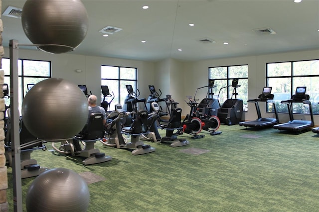 gym featuring a healthy amount of sunlight and carpet floors