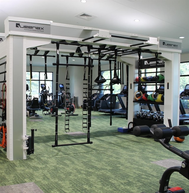 exercise room with carpet flooring and a healthy amount of sunlight