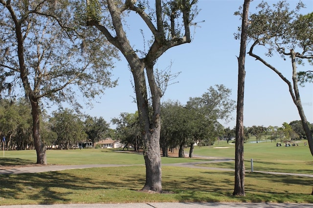 view of home's community featuring a yard