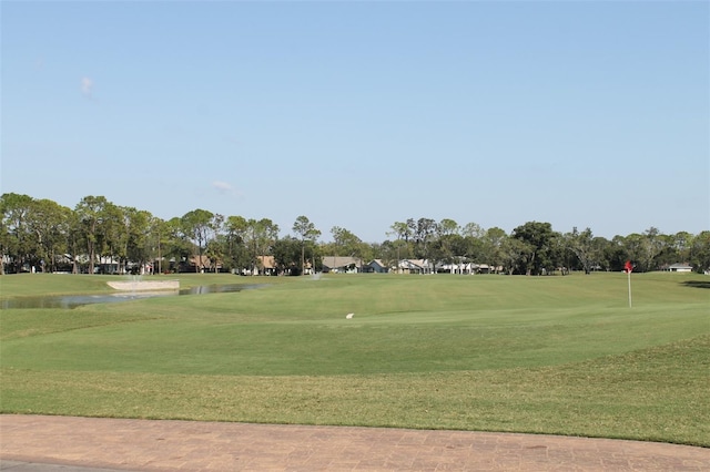 view of community with a yard