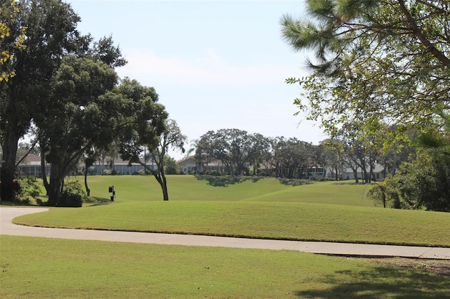 view of home's community with a lawn