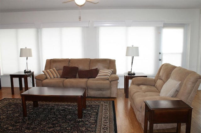 living room with ceiling fan and hardwood / wood-style floors