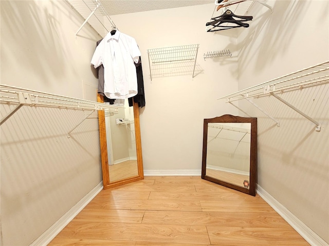 spacious closet with wood-type flooring