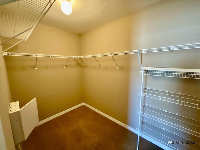 walk in closet with carpet floors