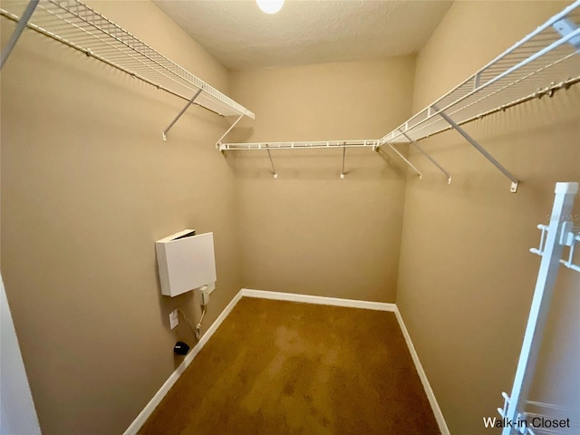 spacious closet with carpet