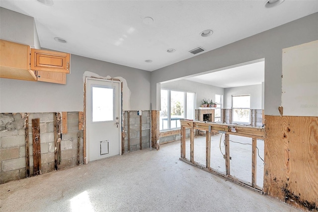 kitchen featuring light brown cabinetry and a wealth of natural light