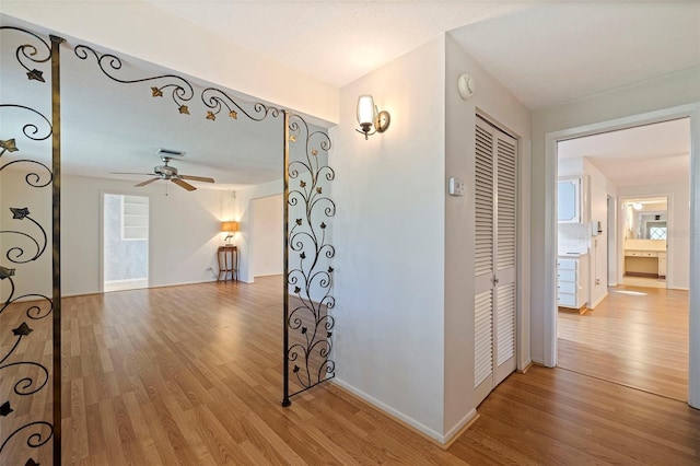 hall with light hardwood / wood-style flooring