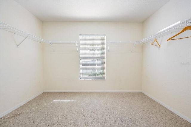 walk in closet featuring carpet floors