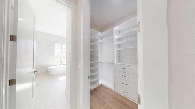 spacious closet with light wood-type flooring