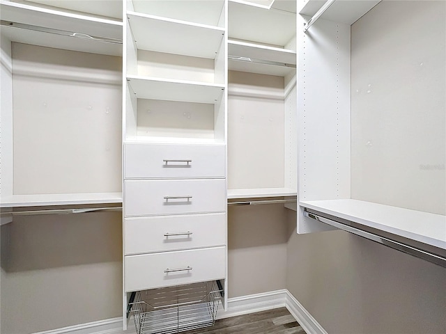 spacious closet featuring dark hardwood / wood-style flooring