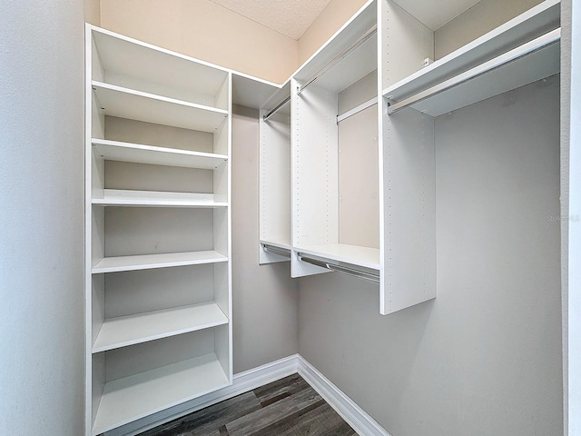 walk in closet with dark wood-type flooring