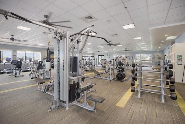 workout area with a paneled ceiling and ceiling fan