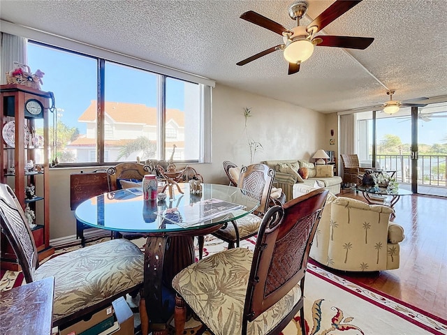 dining room featuring hardwood / wood-style floors and a textured ceiling