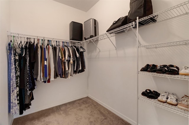 spacious closet with carpet