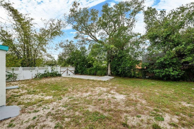 view of yard featuring a patio area