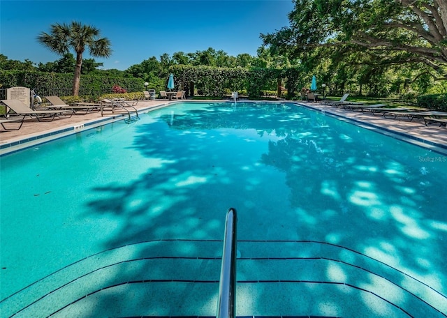 view of pool featuring a patio