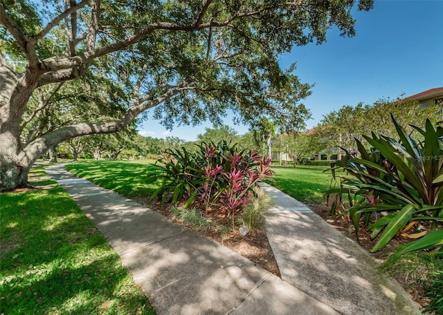 view of community featuring a lawn